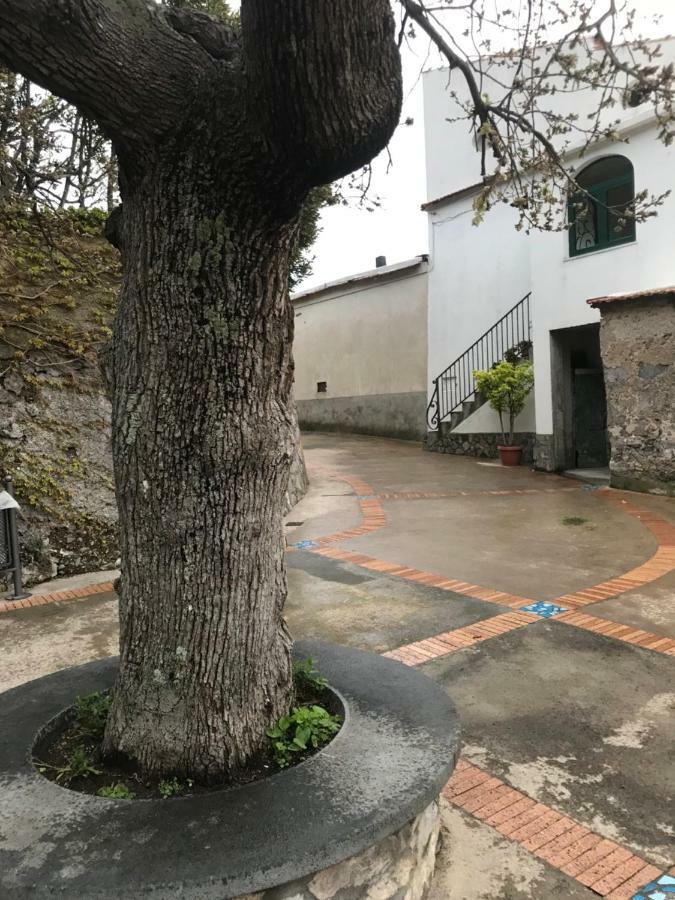 Maison Rosa Positano Bagian luar foto