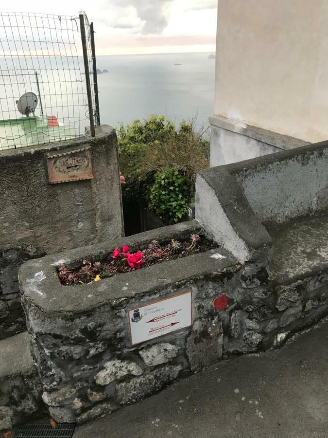 Maison Rosa Positano Bagian luar foto